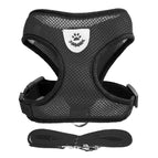 Black / S(1.5-2.5 Kg)